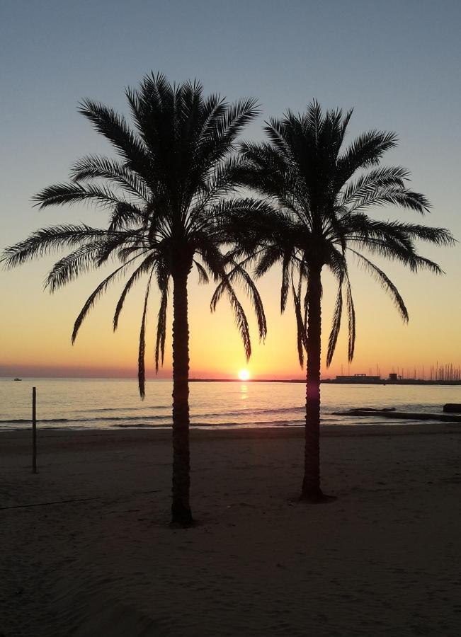 Acacia Marina Ξενοδοχείο Marina di Ragusa Εξωτερικό φωτογραφία